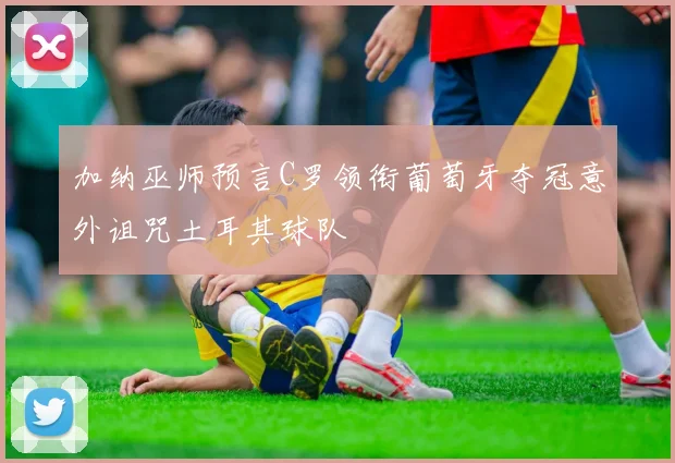加纳巫师预言C罗领衔葡萄牙夺冠意外诅咒土耳其球队