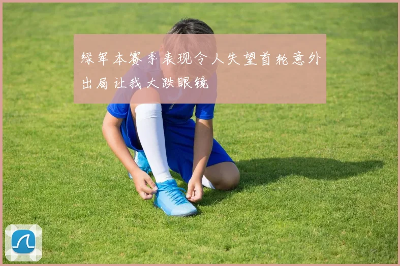 绿军本赛季表现令人失望首轮意外出局让我大跌眼镜
